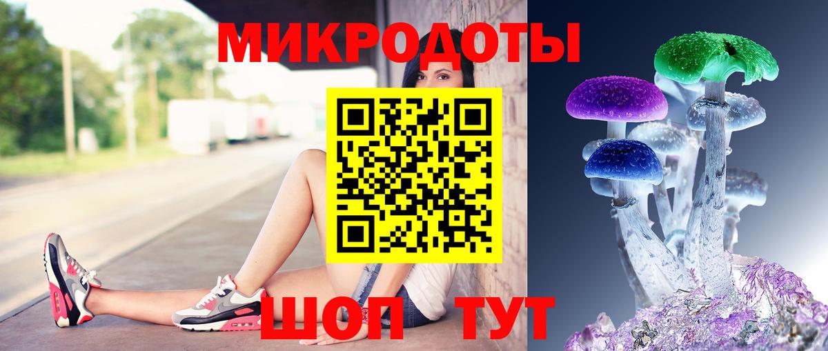 Реутов  Псилоцибиновые грибы Psilocybe  Вход с VPN 