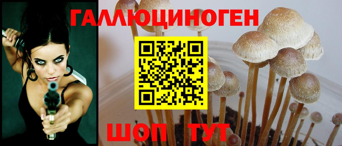 Псилоцибиновые грибы MAGIC MUSHROOMS Реутов